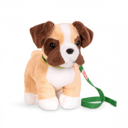 Our Generation - Boxer