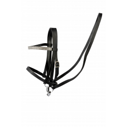 Cheval Roi - träns till...