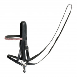 Cheval Roi - träns till...