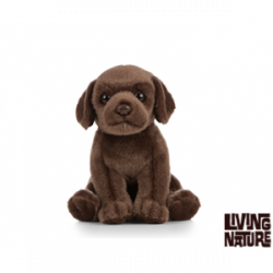 Living nature - Chocolate...