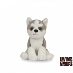 Living nature - Husky Puppy