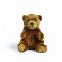 Living nature - Brown Bear