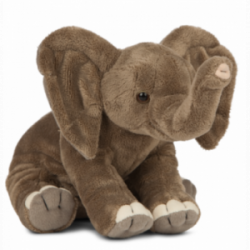 Living nature - Floppy...