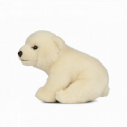 Living nature - Polar Bear...