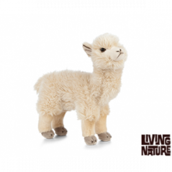 Living nature - Alpaca