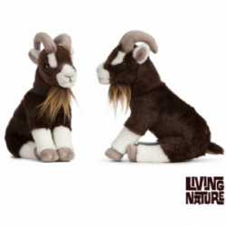 Living nature - Brown Goat...