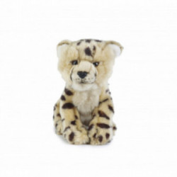 Living nature - Cheetah Cub