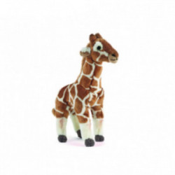 Living nature - Giraffe Medium