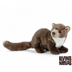 Living nature - Pine Marten