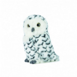 Living nature - Snowy Owl...