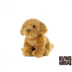 Living nature - Cavapoo