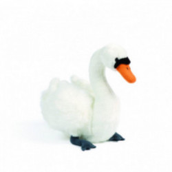 Living nature - Swan Large