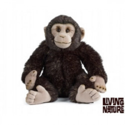 Living nature - Chimp