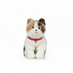 Living nature - Scottish...