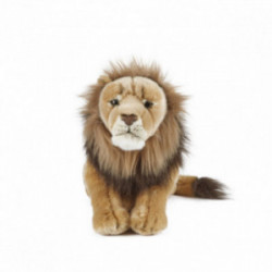 Living nature - Male Lion...