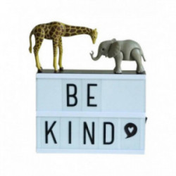 A little lovely company -...