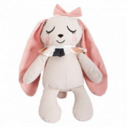 Roommate -  Bella The Bunny