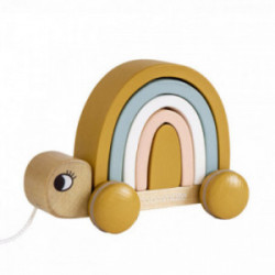 Roommate - Turtle -...