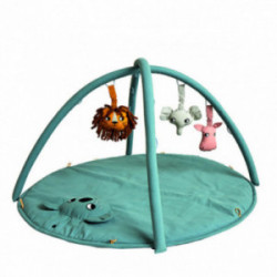 Roommate - Babygym - Koala