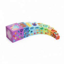 Djeco - 10 Rainbow blocks