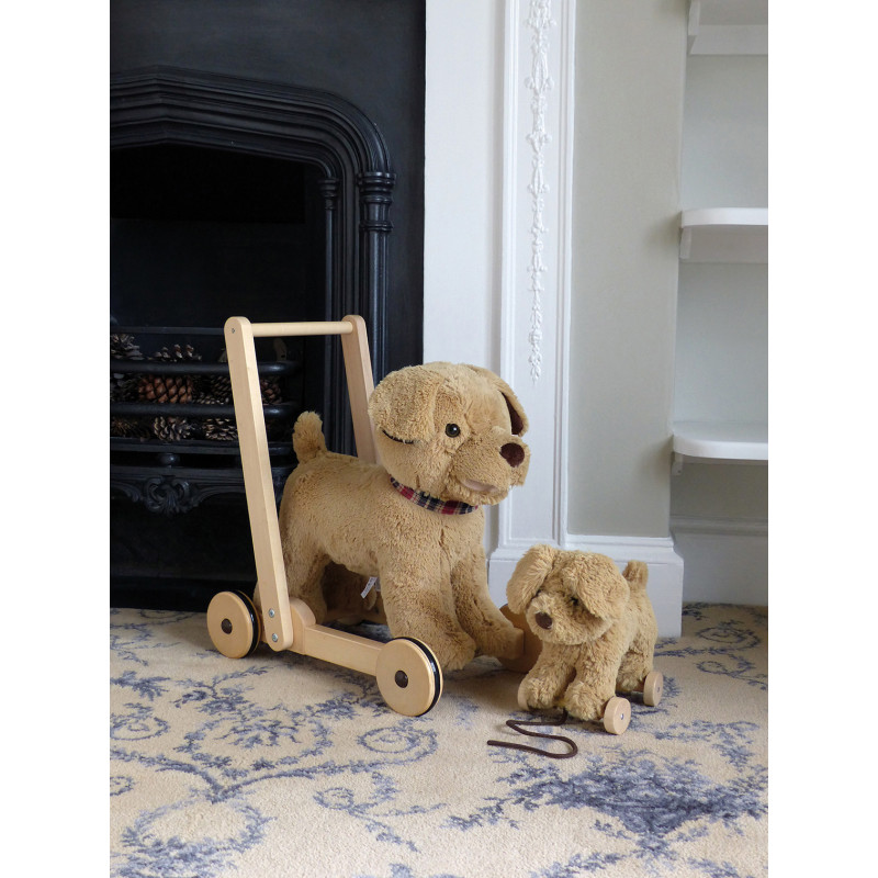 Dexter Dog Pull Along