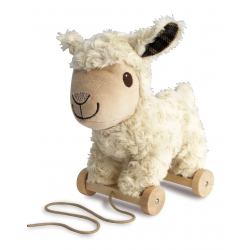 Little Bird Told Me -...