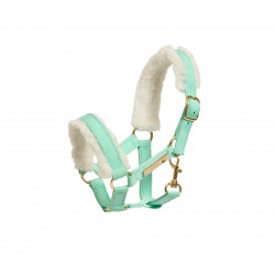 Cheval Roi - Grimma,...