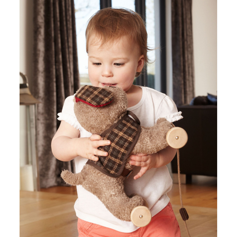 Little Bird Told Me - Percy Valp, dragdjur