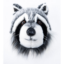 Brigbys - Tvättbjörnshuvud