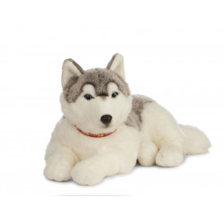 Living nature - Giant husky