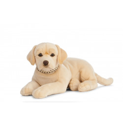 Living nature - Giant...